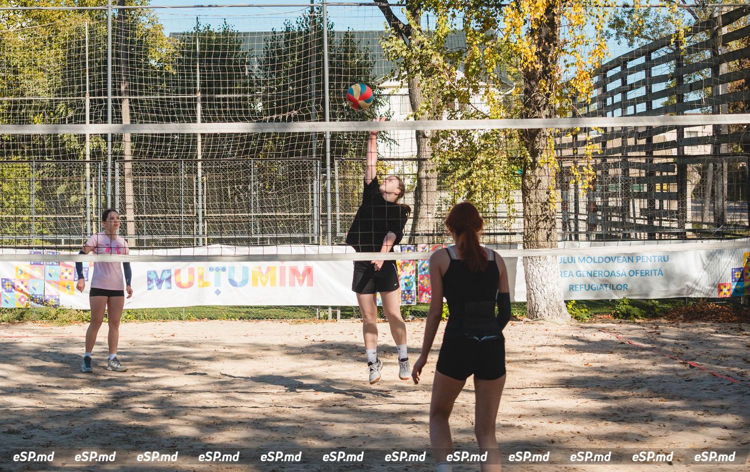 турнир по волейболу