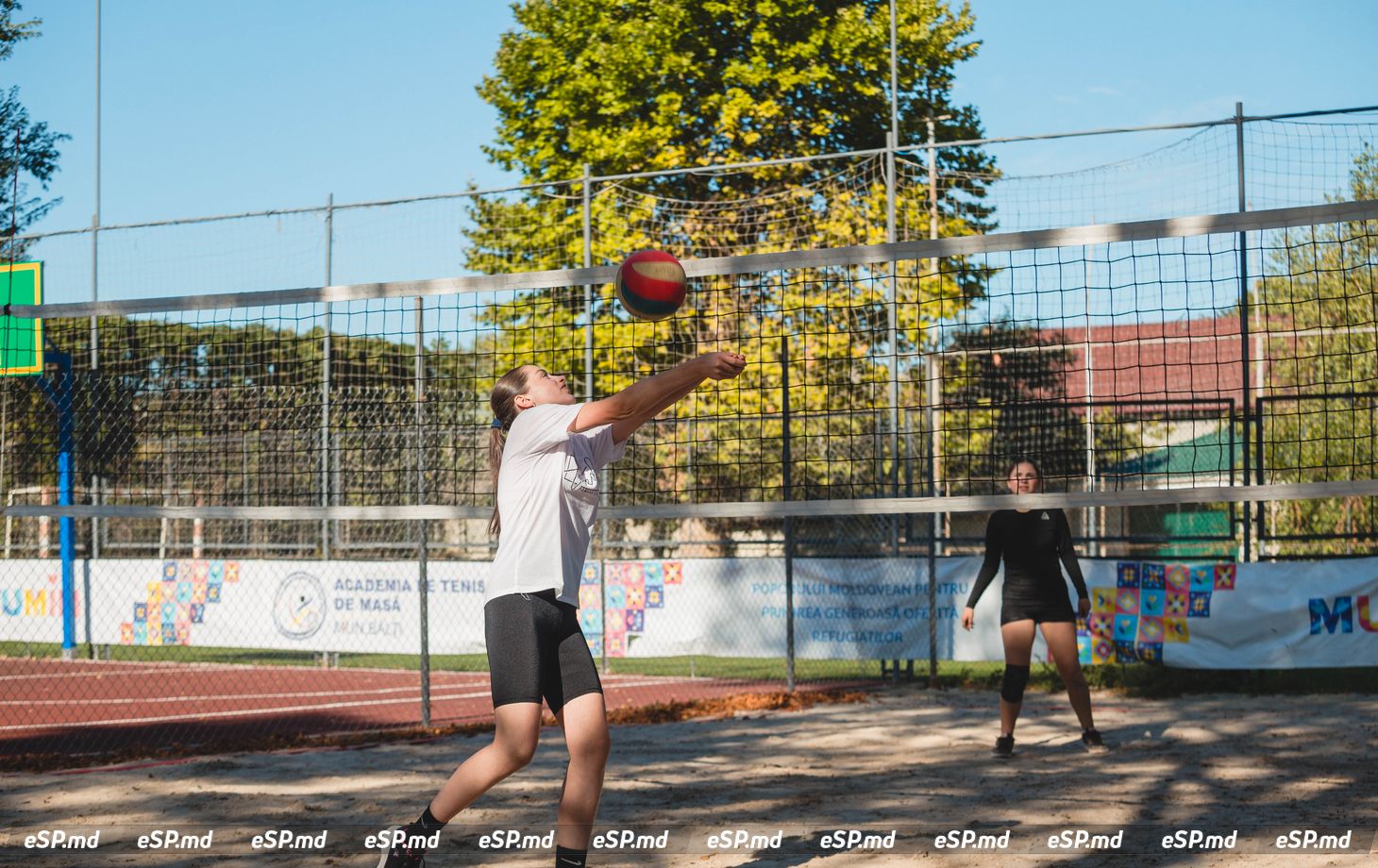 турнир по волейболу