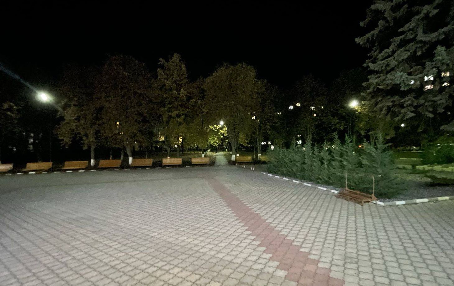 установили новый свет в профшколе