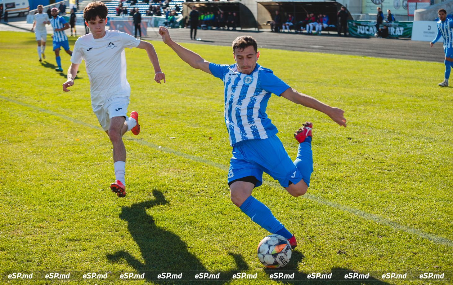 чемпионат Молдовы по футболу