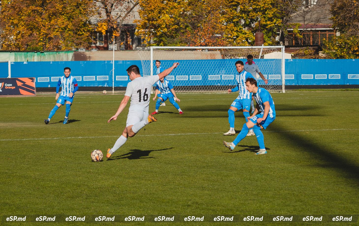 чемпионат Молдовы по футболу