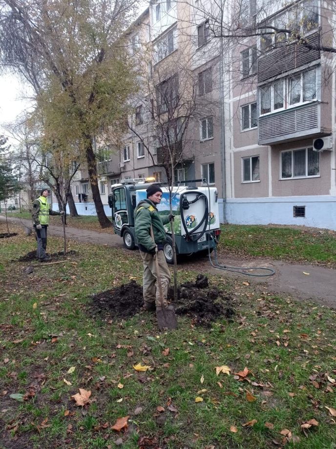 посадили деревья в Бельцах
