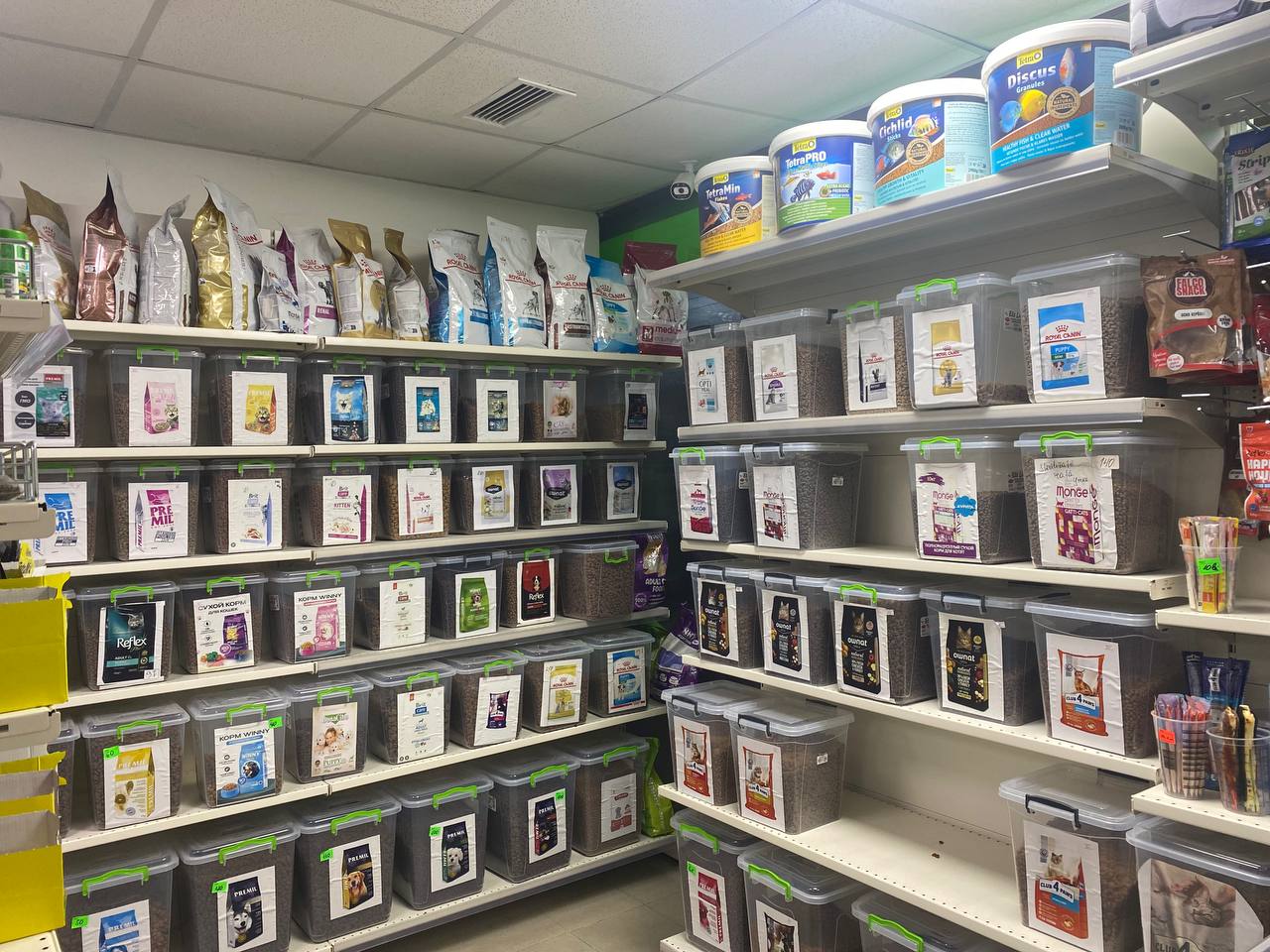 зоомагазин ZooTod в Бельцах