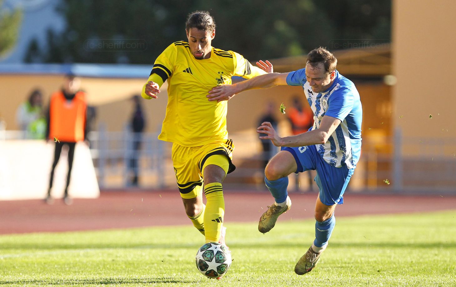 чемпионат Молдовы по футболу