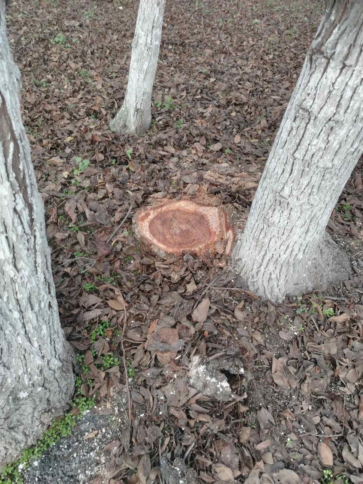 Оштрафованы вредители окружающей среде