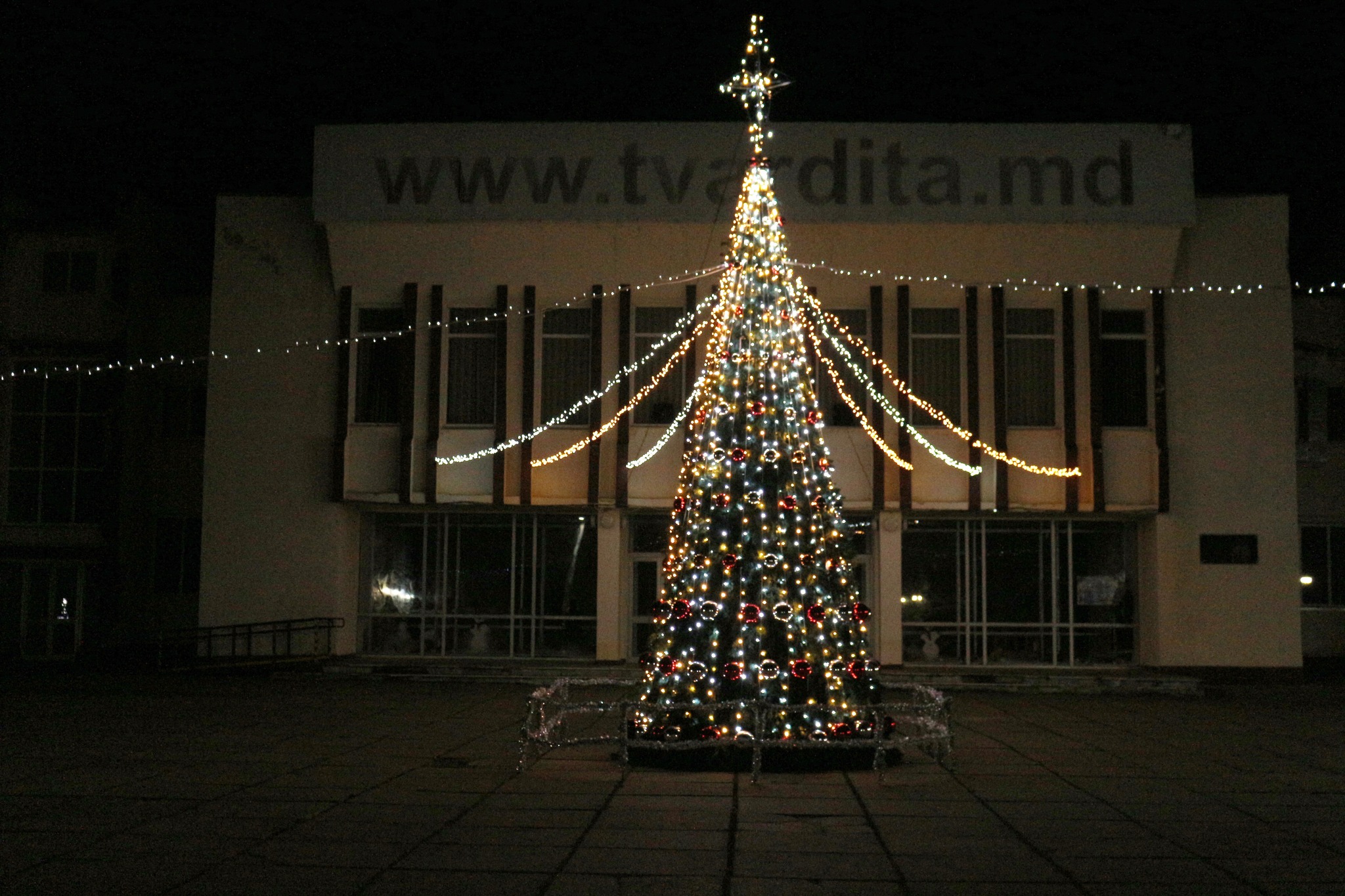 Фото ёлки в Твардице