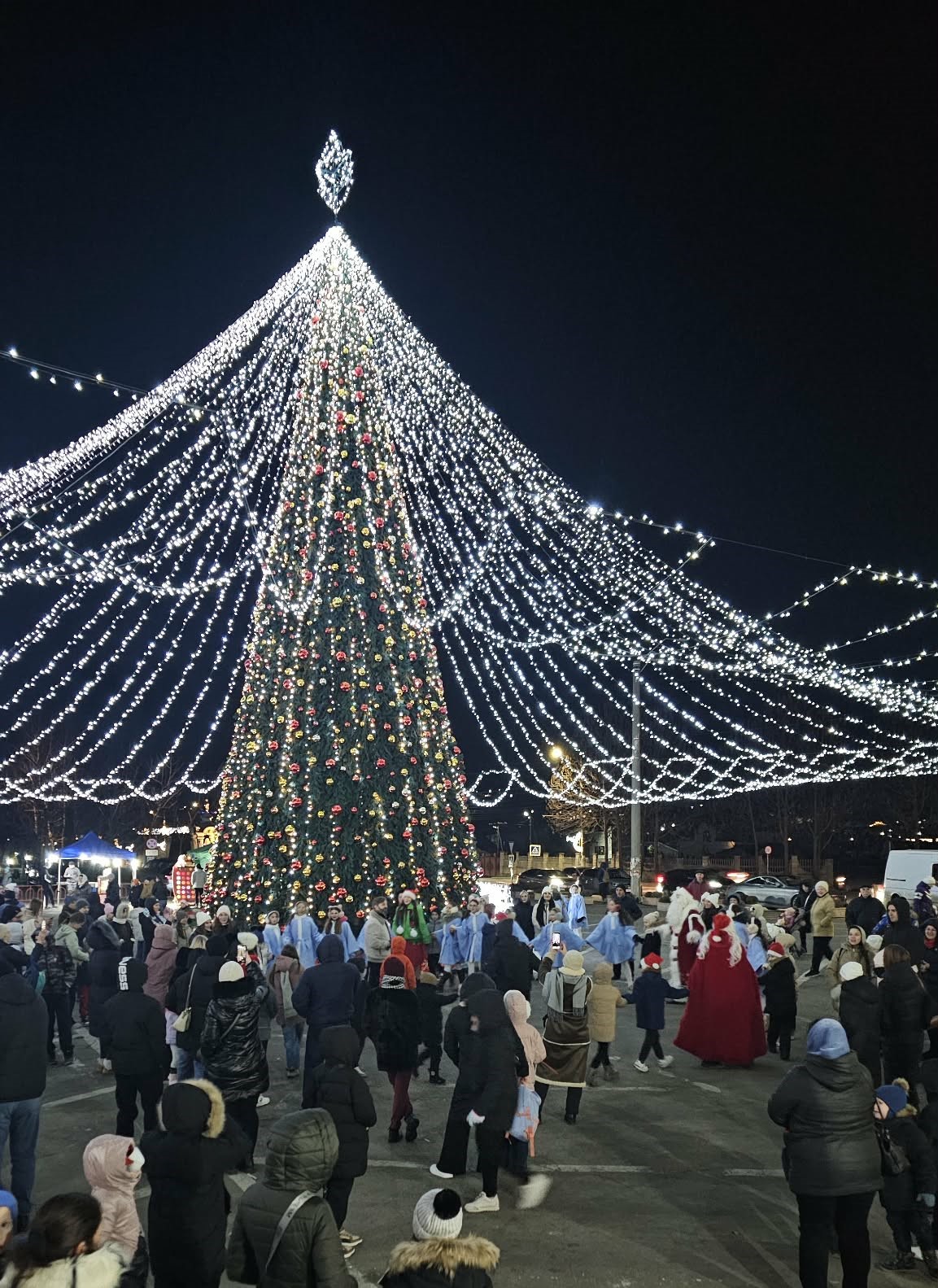 Фото ёлки в Яловен