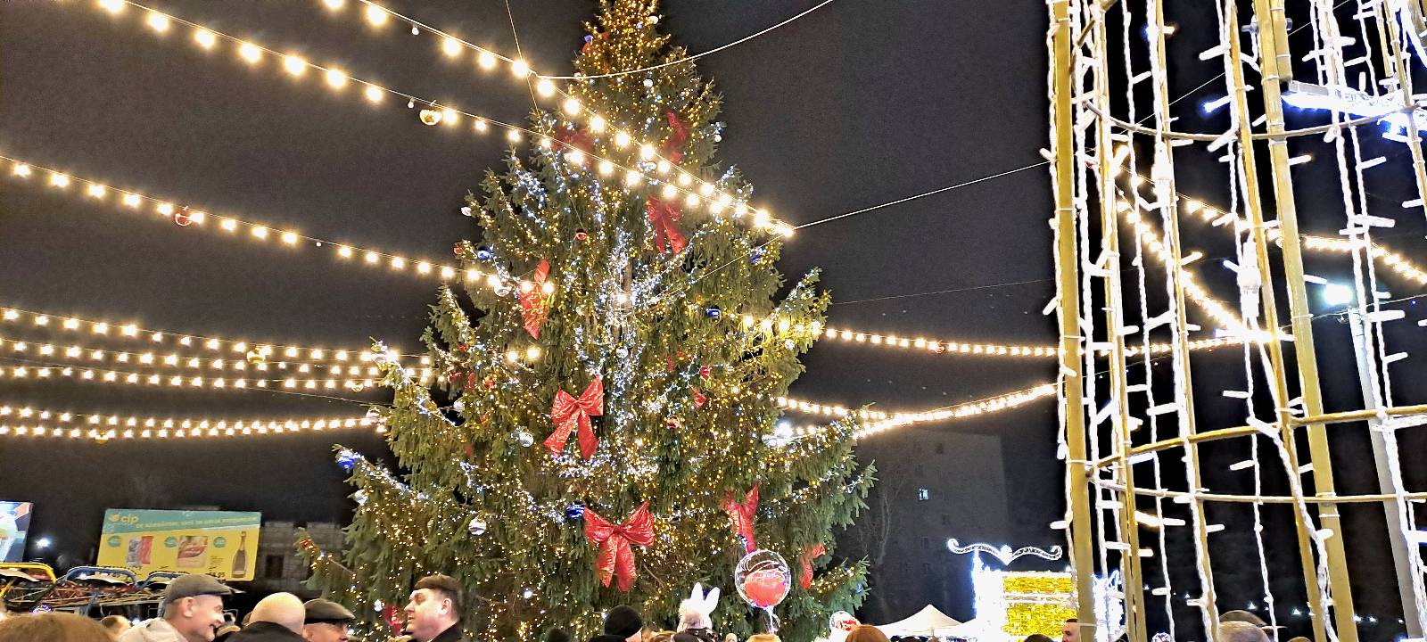 Фото ёлки в Сороках