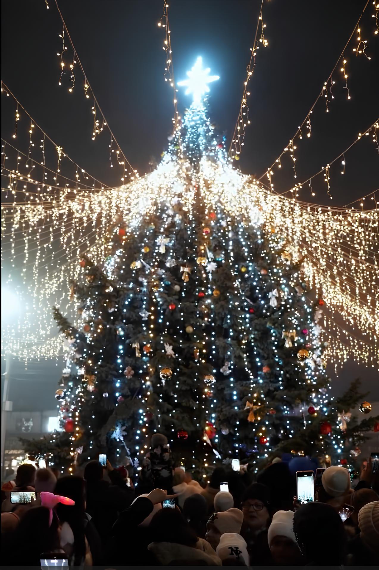 Фото ёлки в Комрате