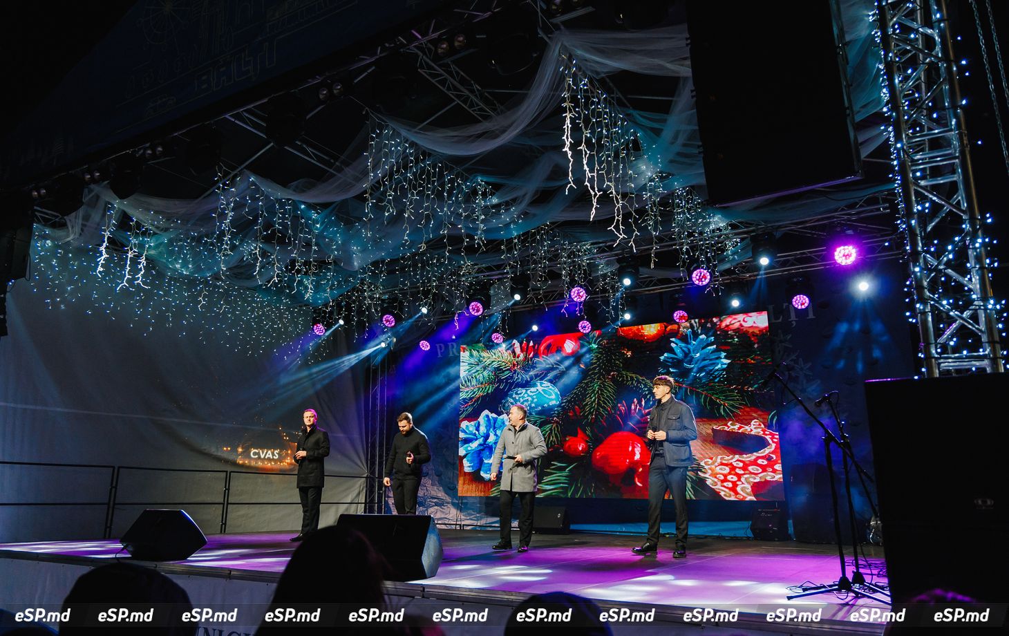 открытие ёлки концерт10