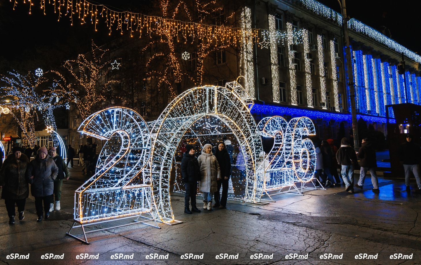 открытие ёлки концерт19