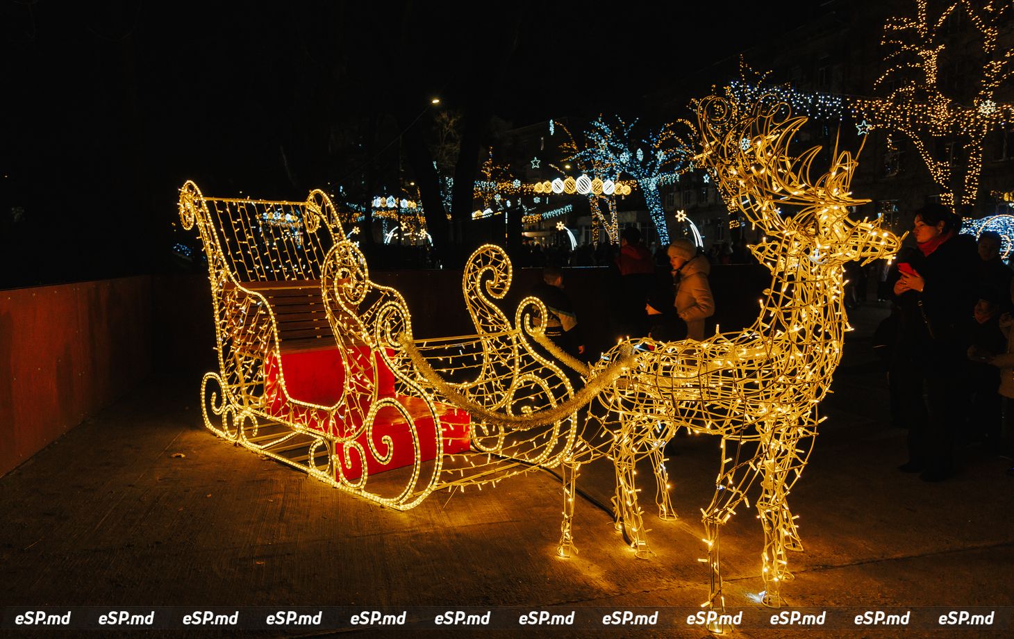 открытие ёлки концерт20