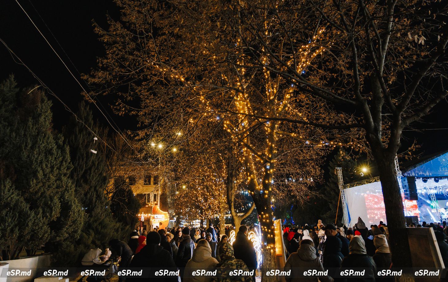 открытие ёлки концерт15