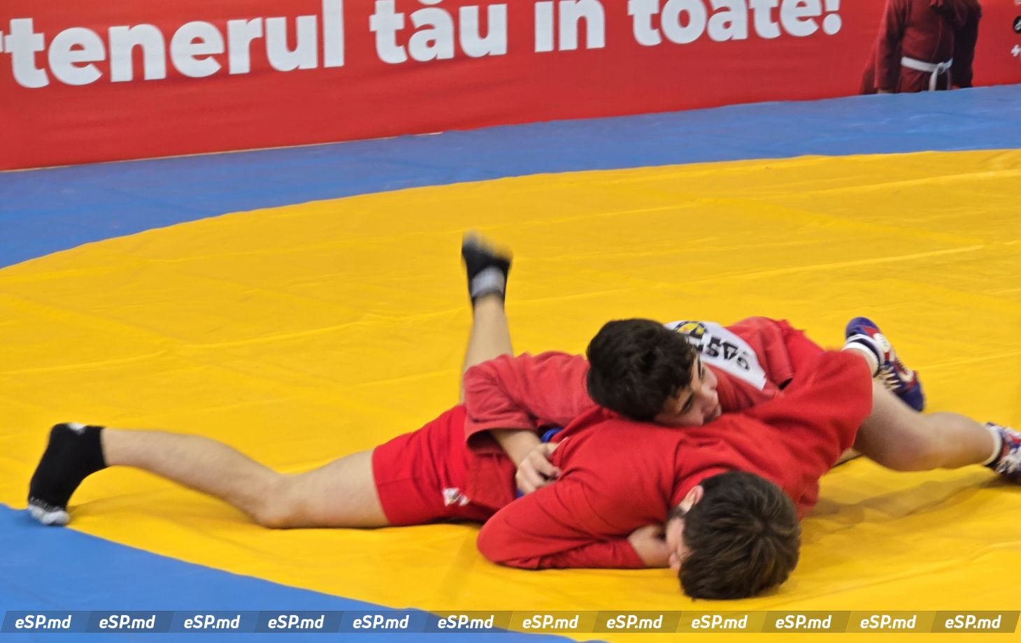 самбо чемпионат 7