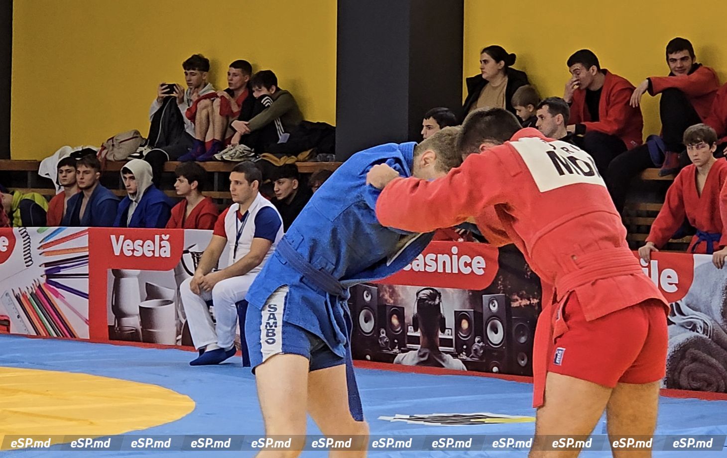 самбо чемпионат 2