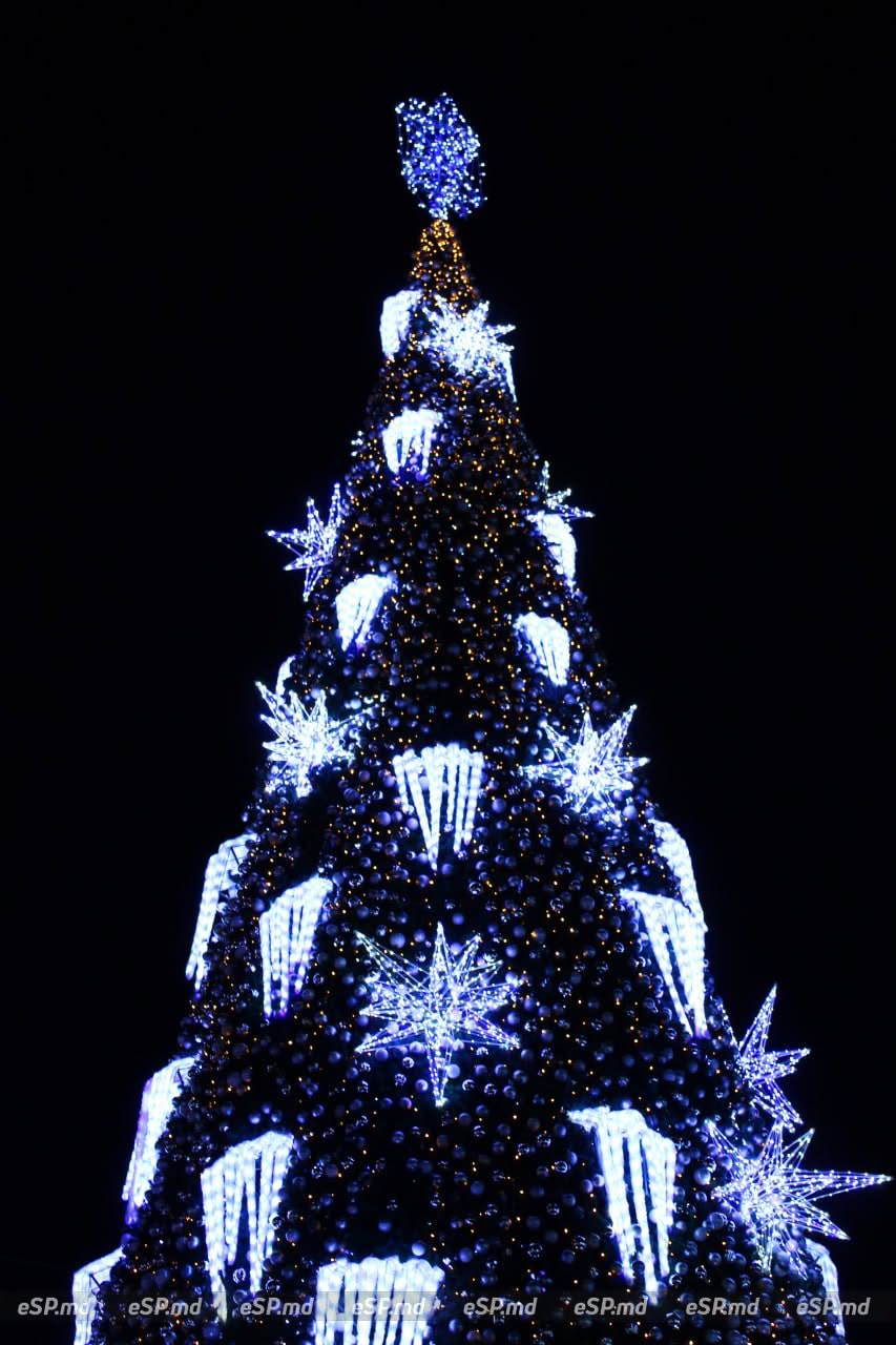 Фото ёлки в Кишинёве