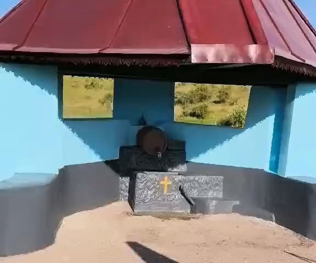 волонтеры Дрокии