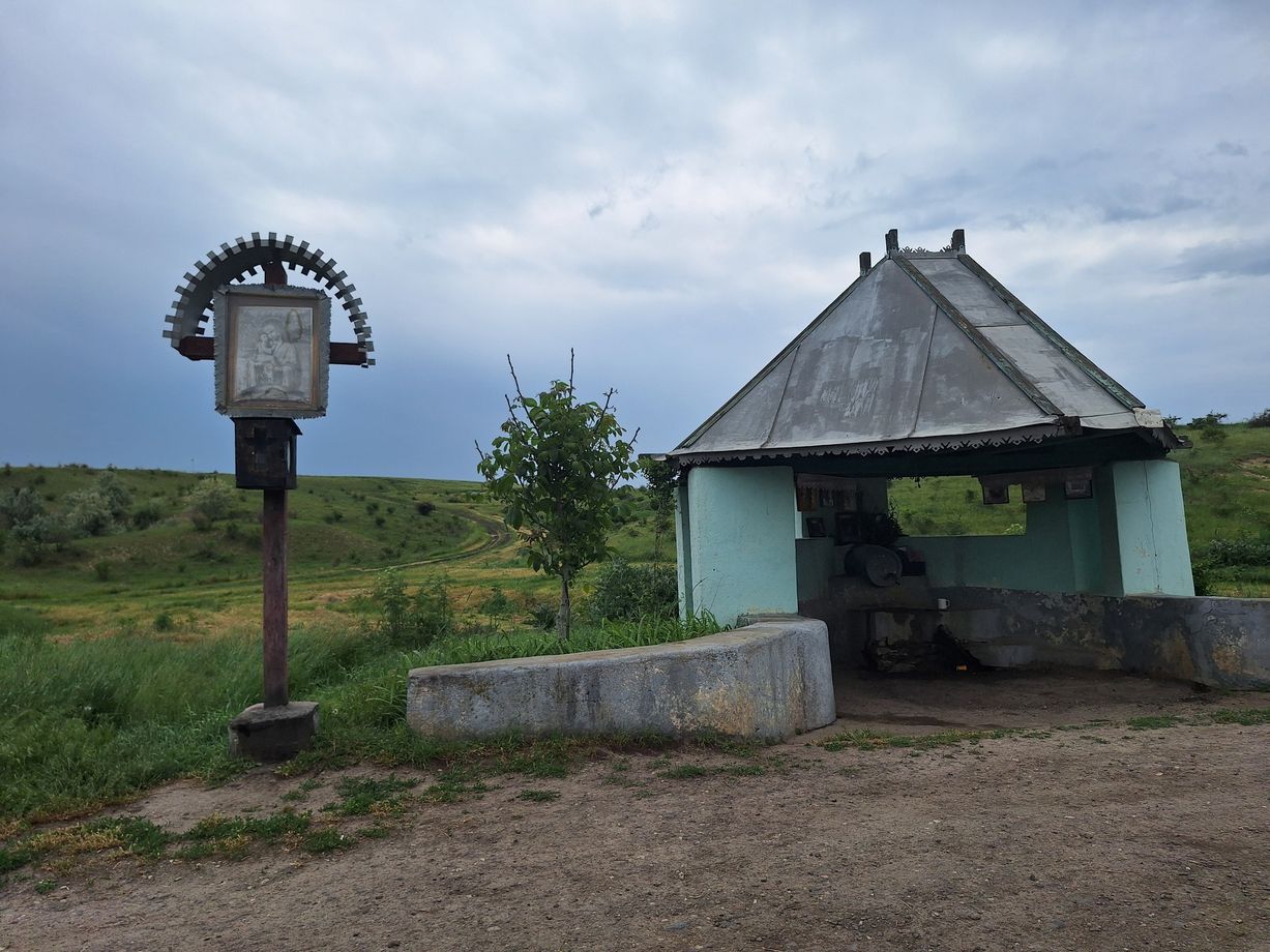 волонтеры Дрокии