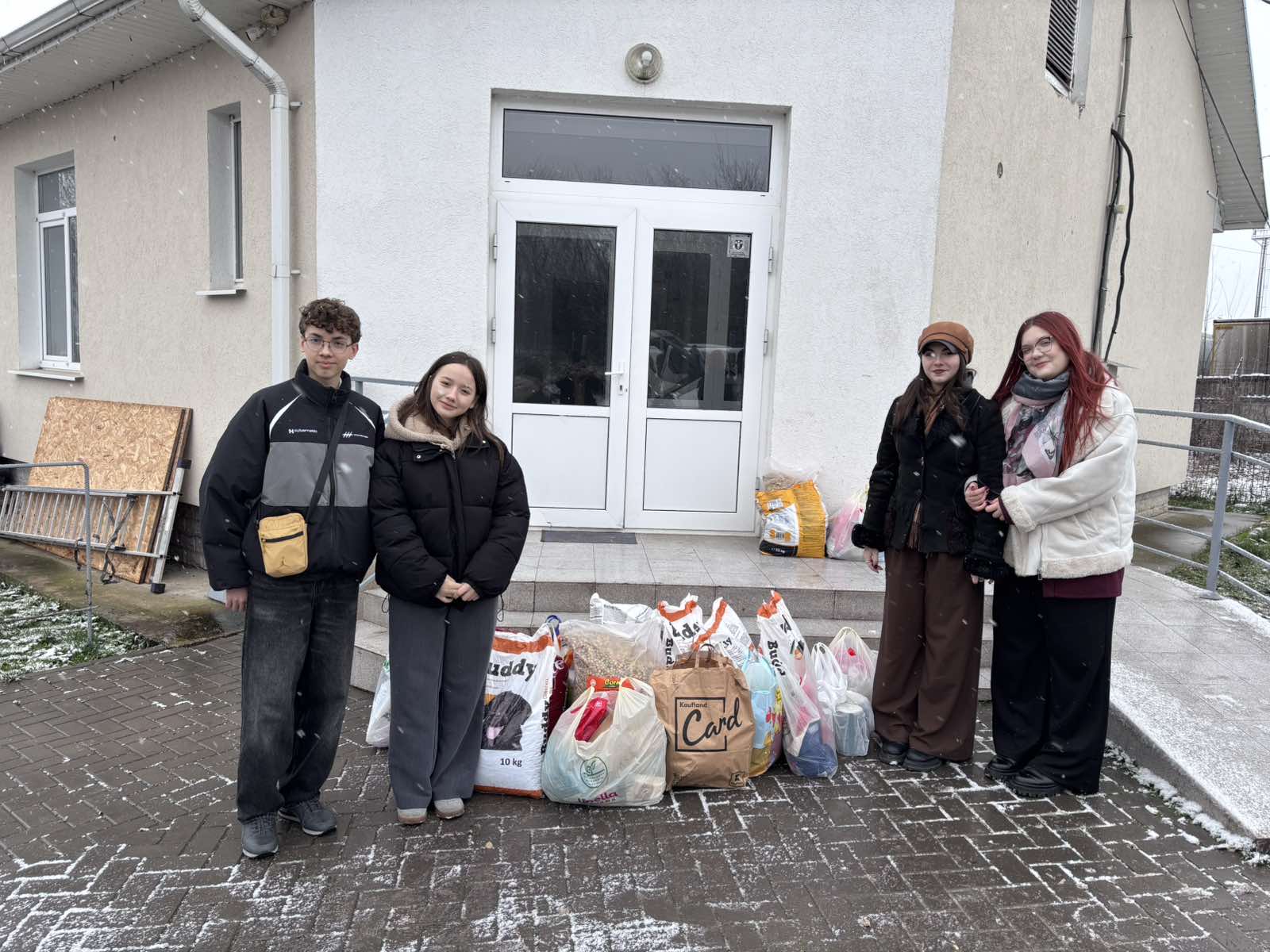Корм, собранный для приюта собак