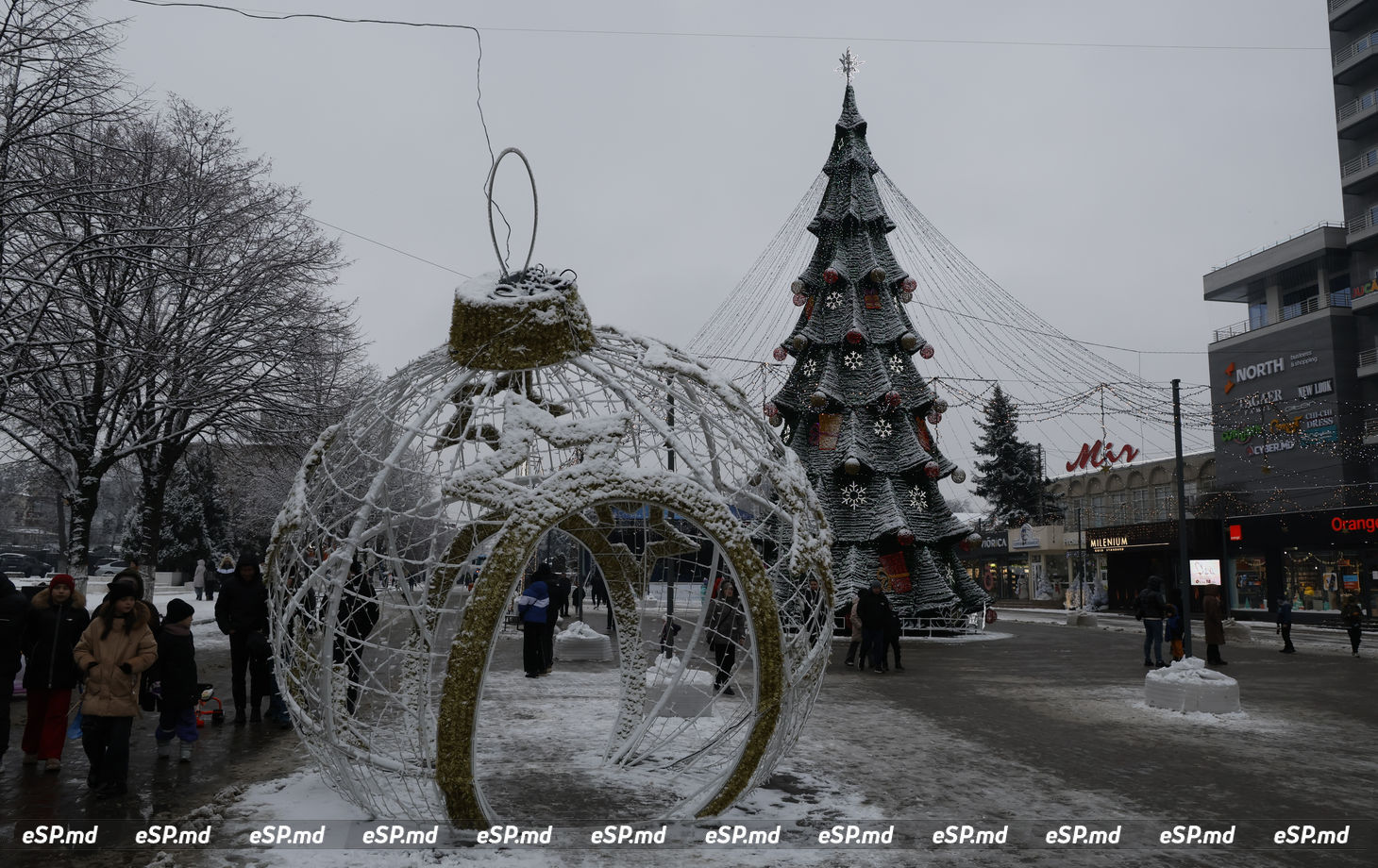 Бельцы снег13