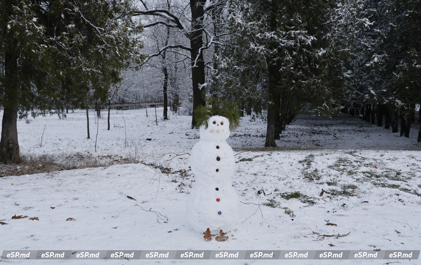 Бельцы снег20