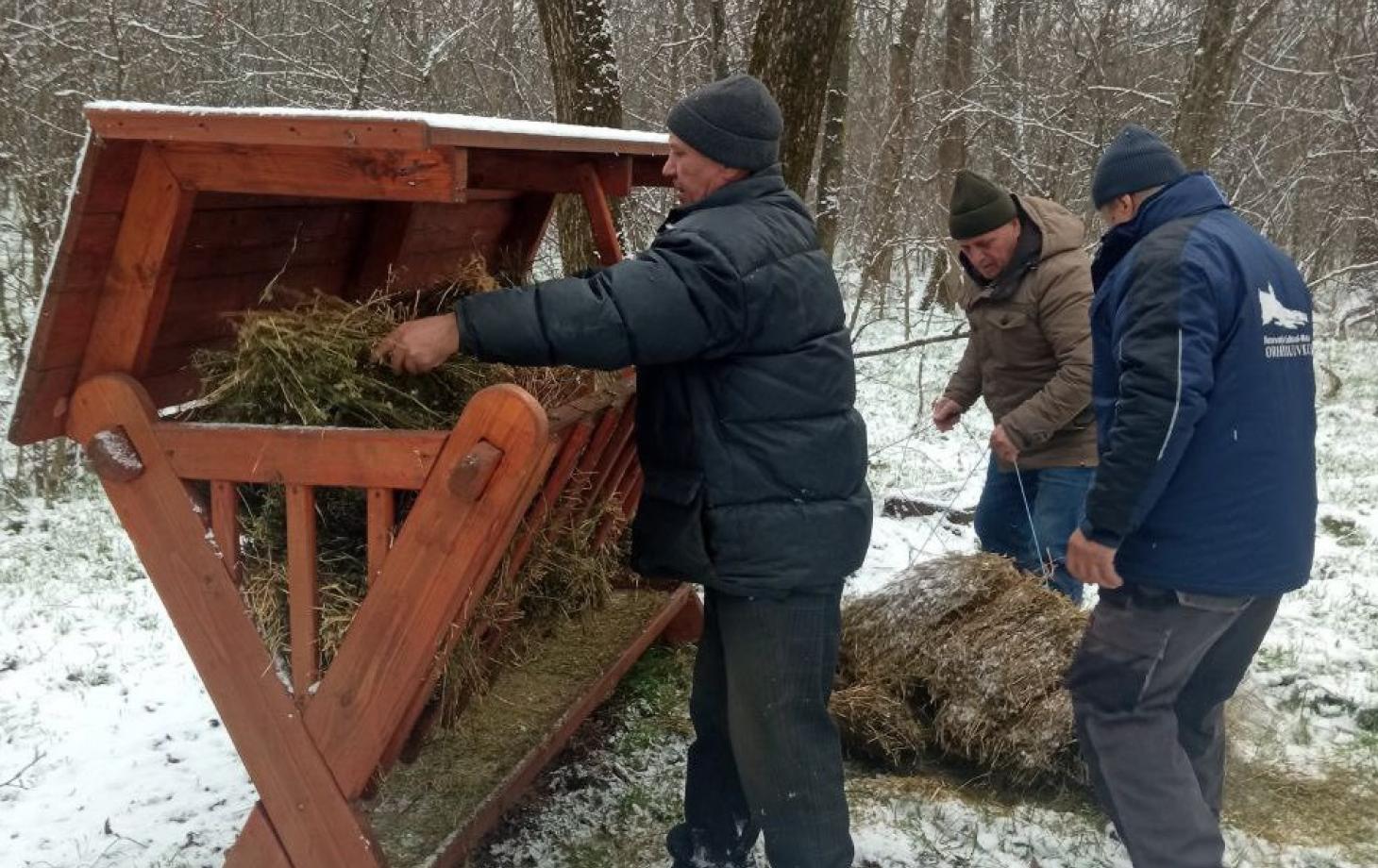 В «Старом Орхее» устроили кормушки и разложили корм для косуль
