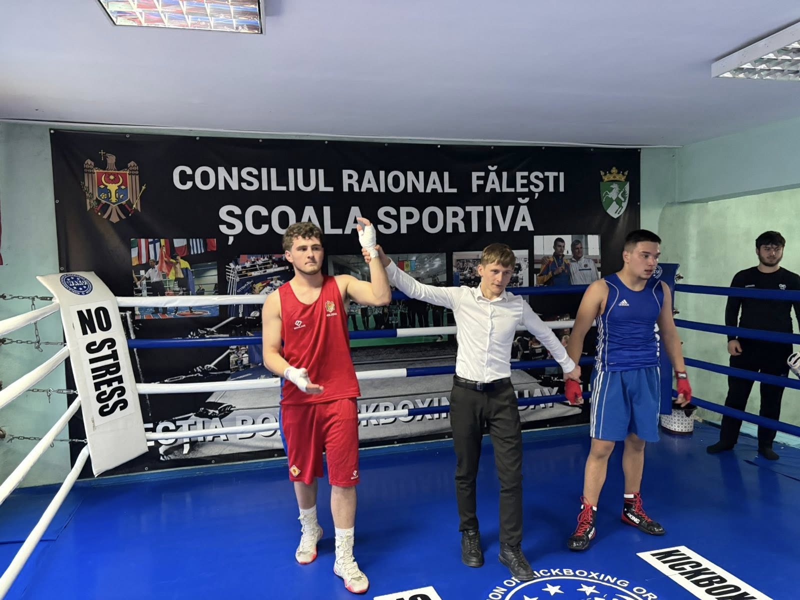 бокс петухова 1