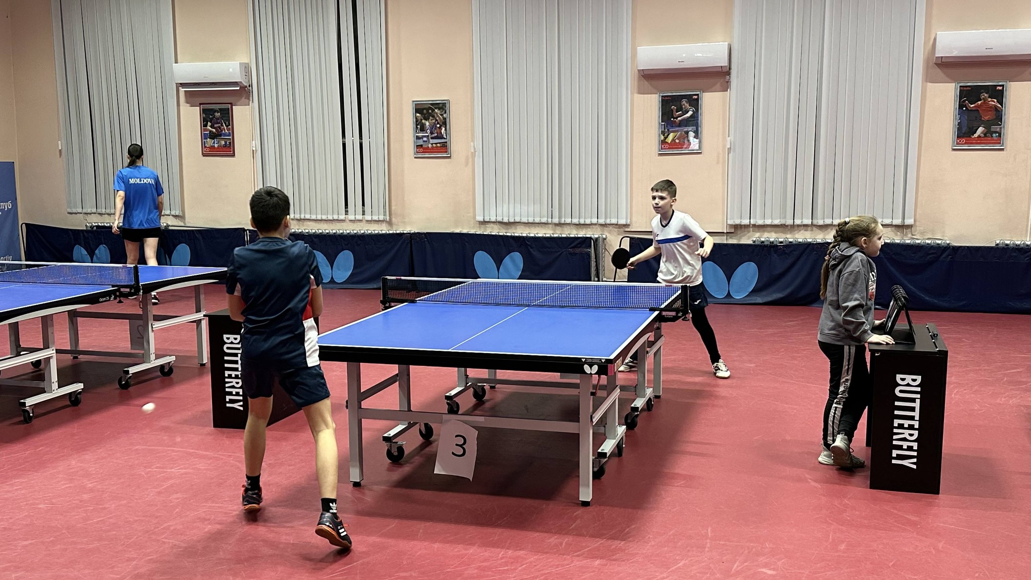 настольный теннис ССШ 1 2