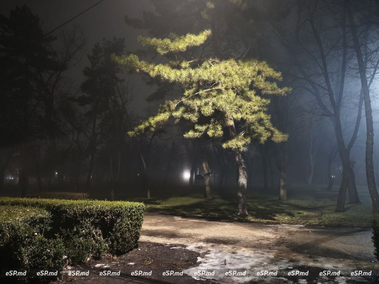 Туман в Бельцах 4