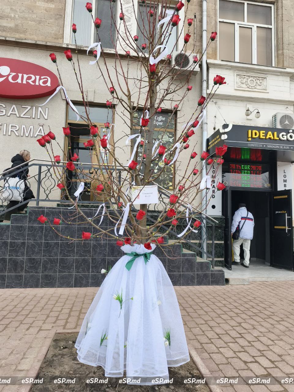 В Бельцах центральной площади украсили деревья мэрцишорами: фотофакт 2