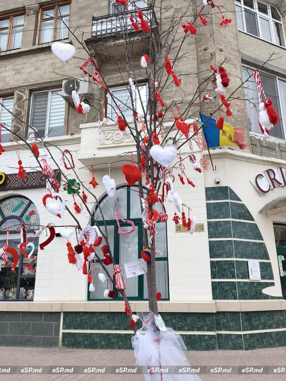 В Бельцах центральной площади украсили деревья мэрцишорами: фотофакт 1