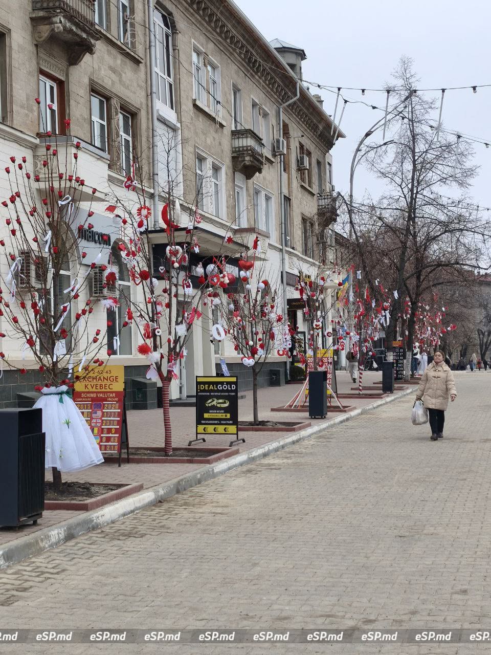 В Бельцах центральной площади украсили деревья мэрцишорами: фотофакт 3