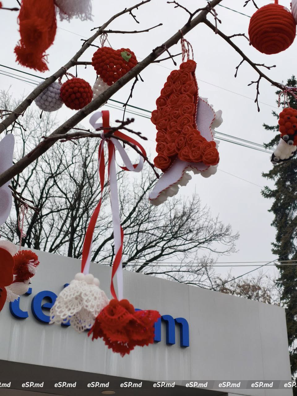 В Бельцах центральной площади украсили деревья мэрцишорами: фотофакт 4