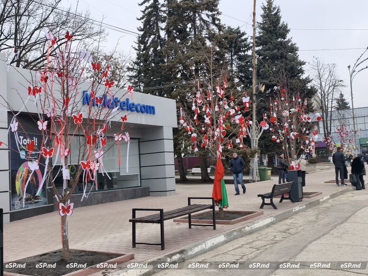 В Бельцах центральной площади украсили деревья мэрцишорами: фотофакт 7