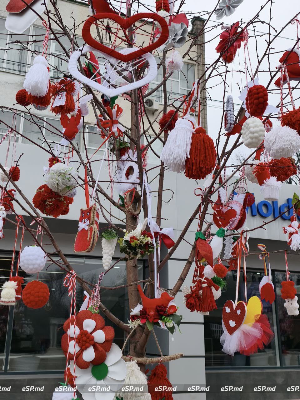 В Бельцах центральной площади украсили деревья мэрцишорами: фотофакт 6