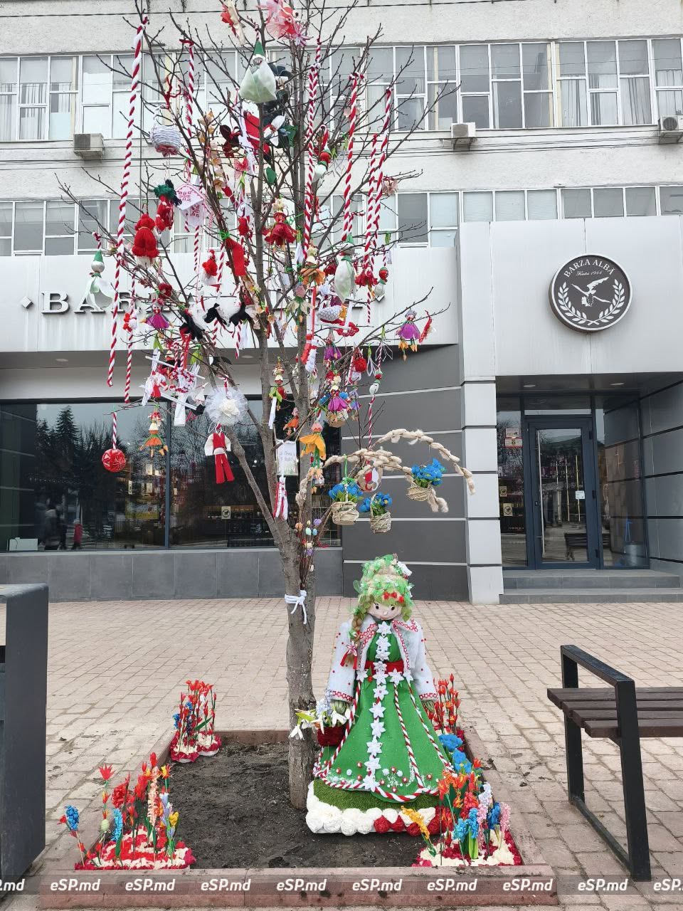 В Бельцах центральной площади украсили деревья мэрцишорами: фотофакт 8