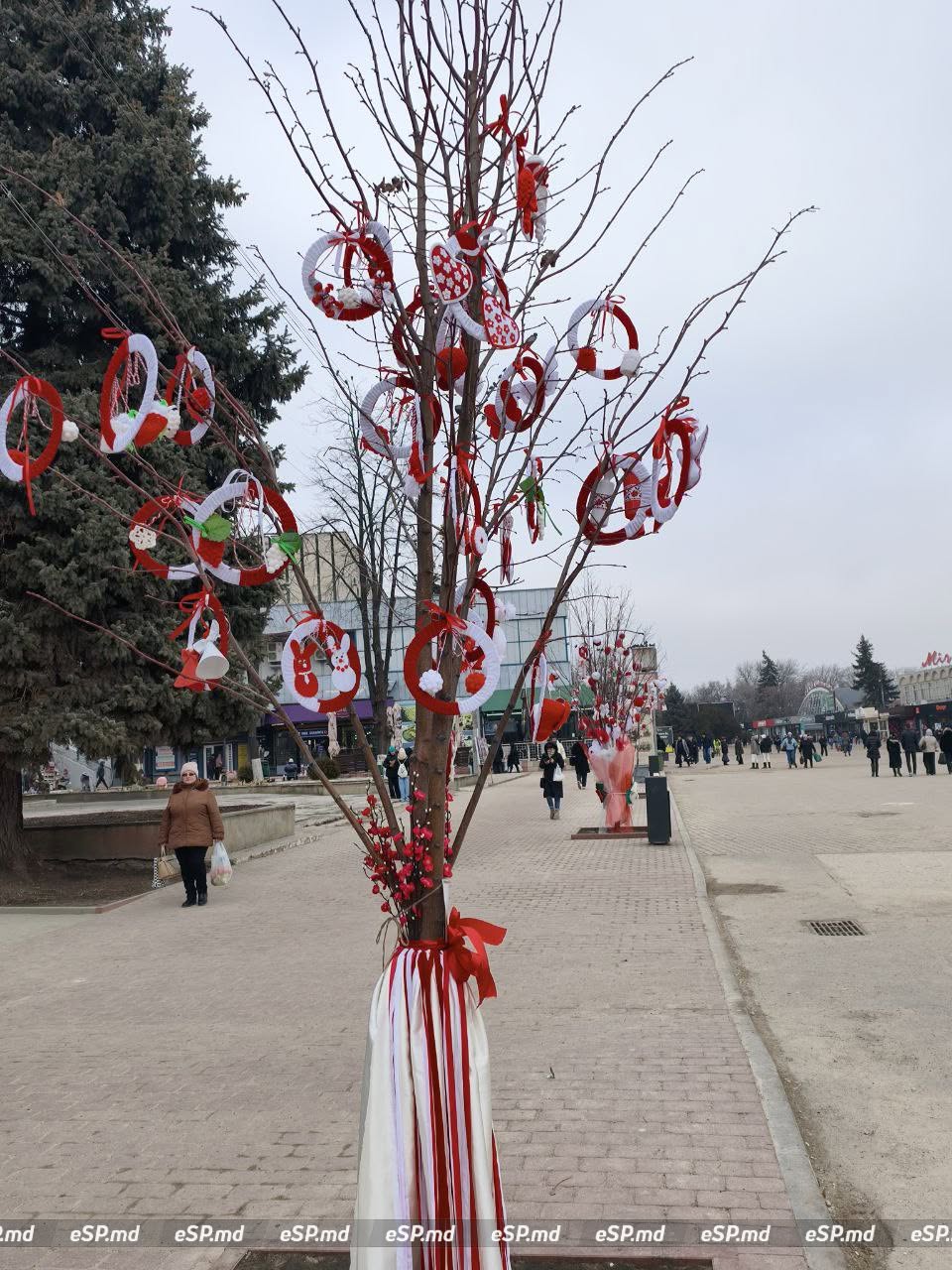 В Бельцах центральной площади украсили деревья мэрцишорами: фотофакт 9