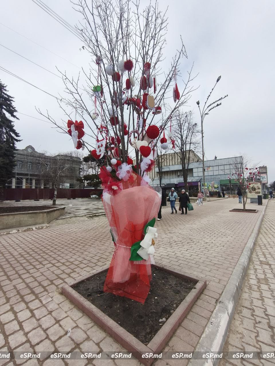 В Бельцах центральной площади украсили деревья мэрцишорами: фотофакт 10