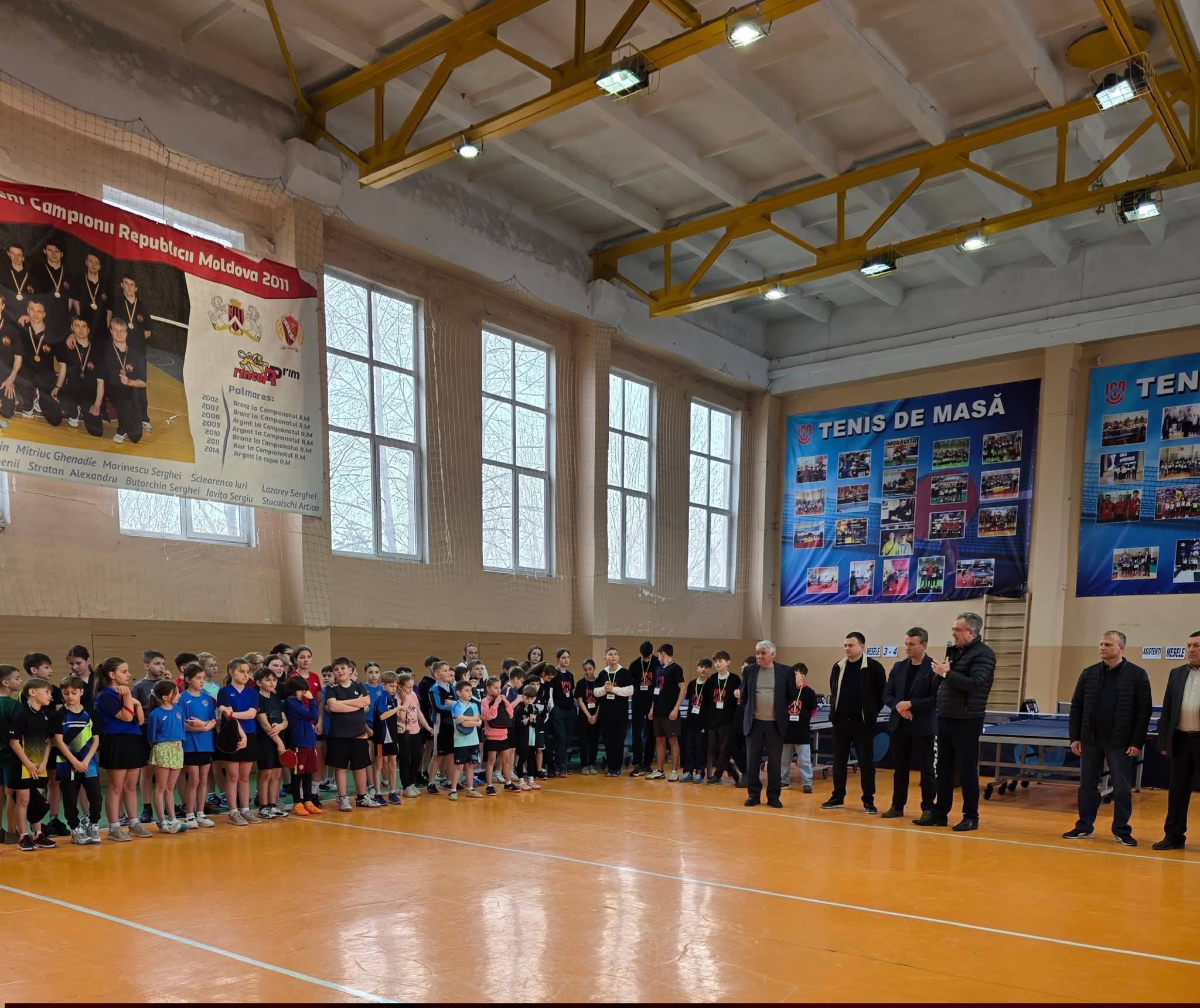 настольный теннис