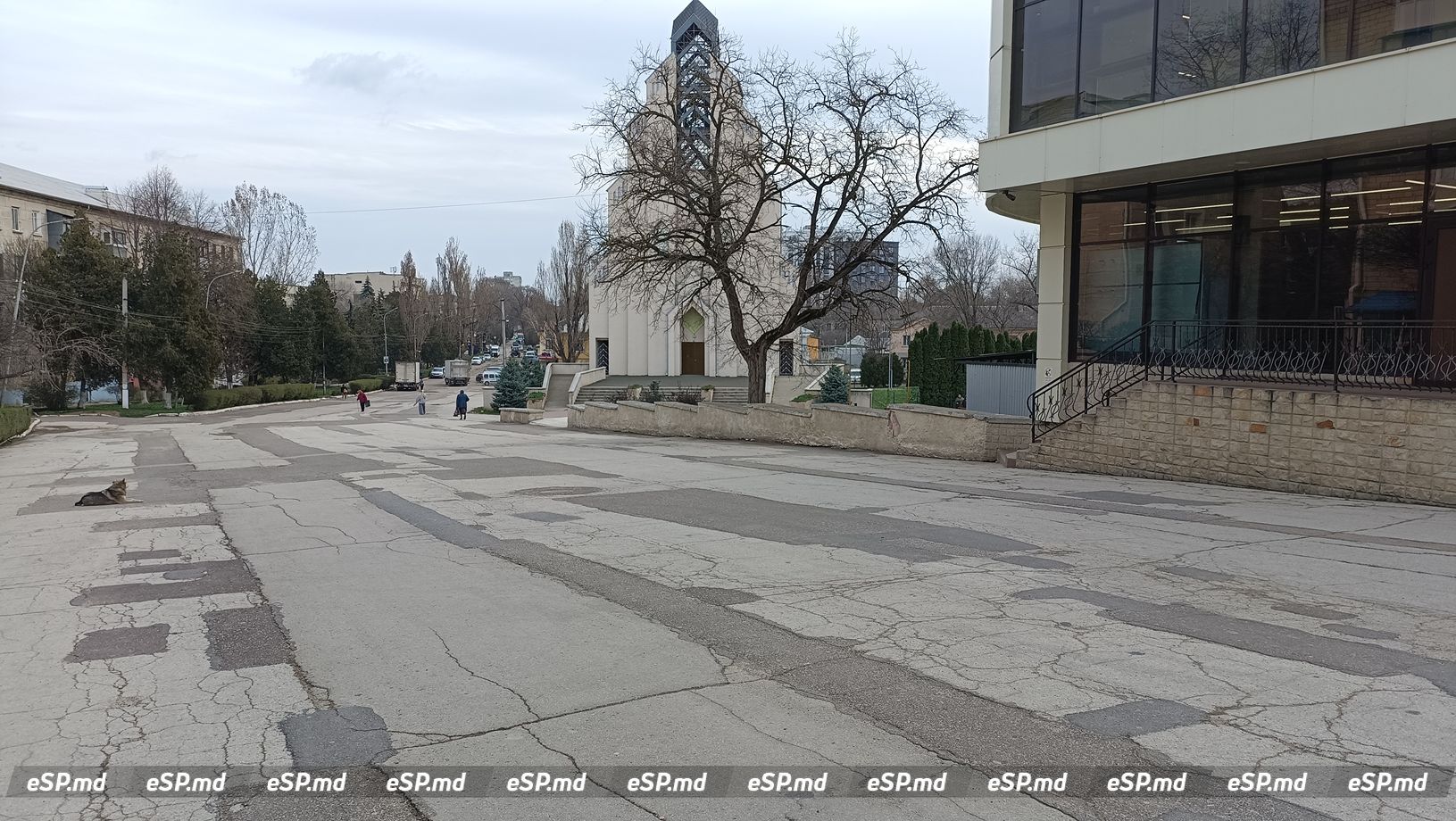 Бонус дорога 4