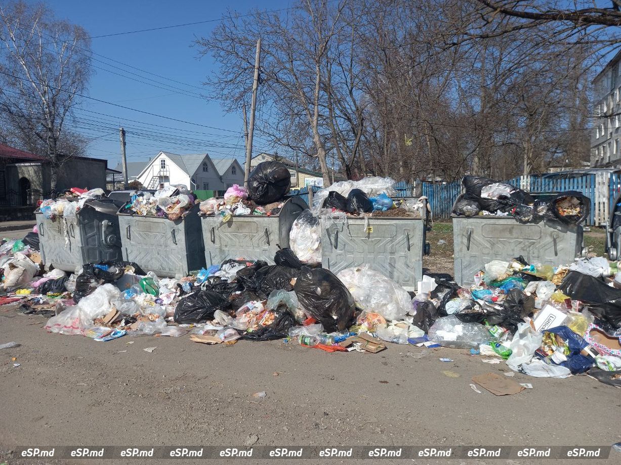 переполненные контейнеры в Единцах