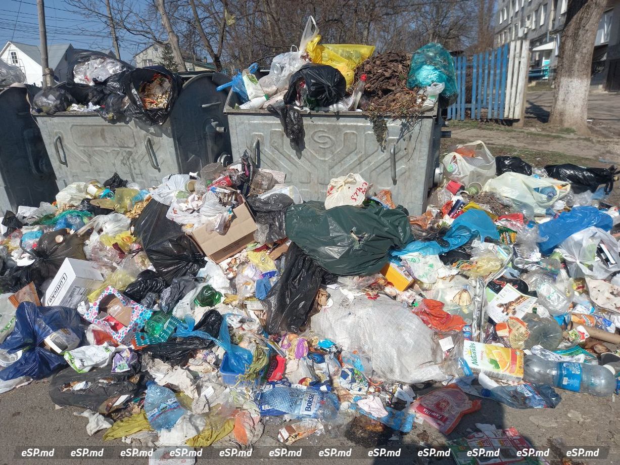 переполненные контейнеры в Единцах