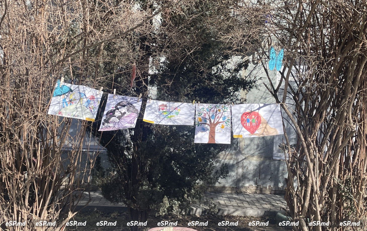 Инклюзивный мини-фестиваль 3