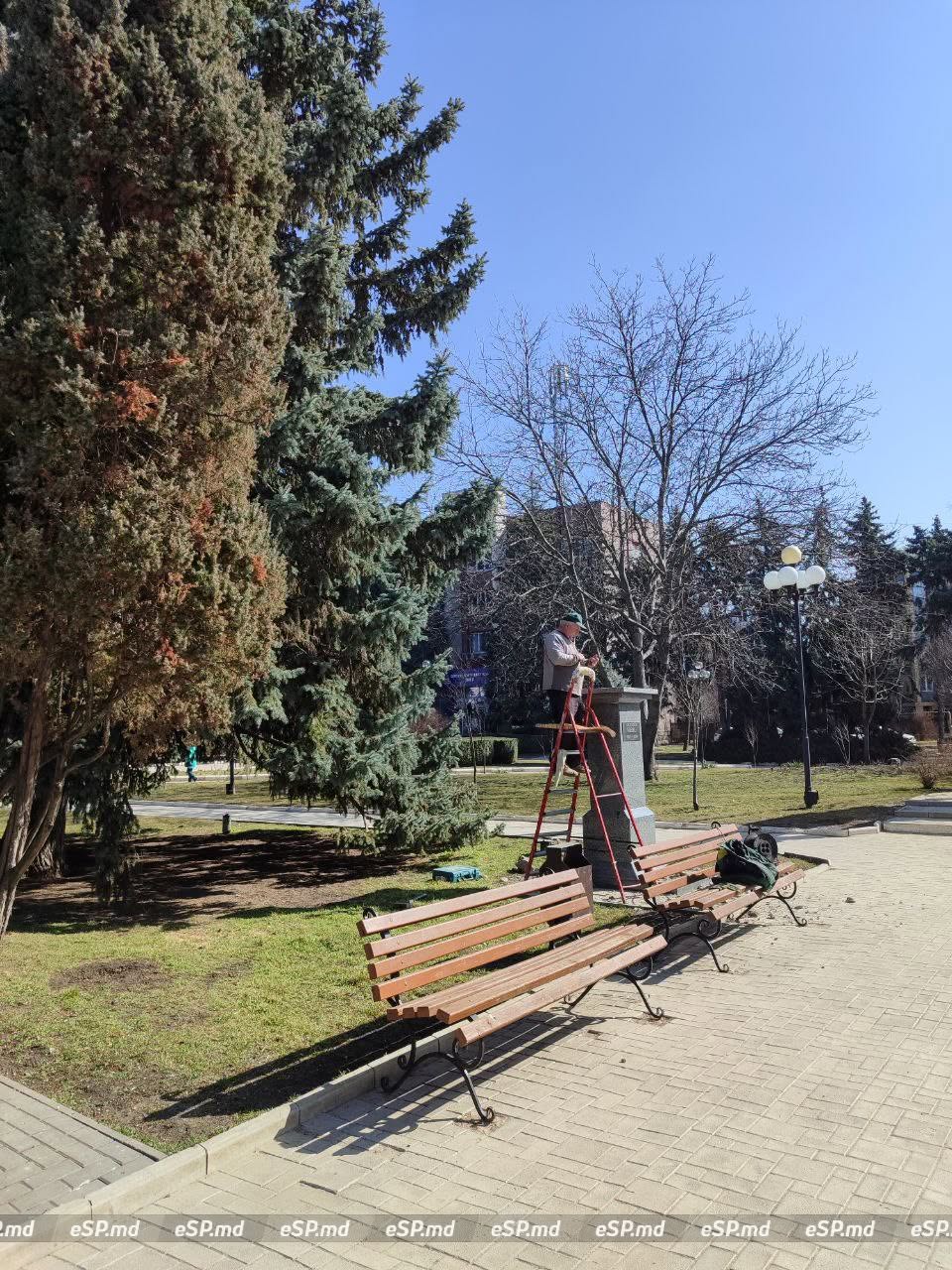 Бюсты меняют