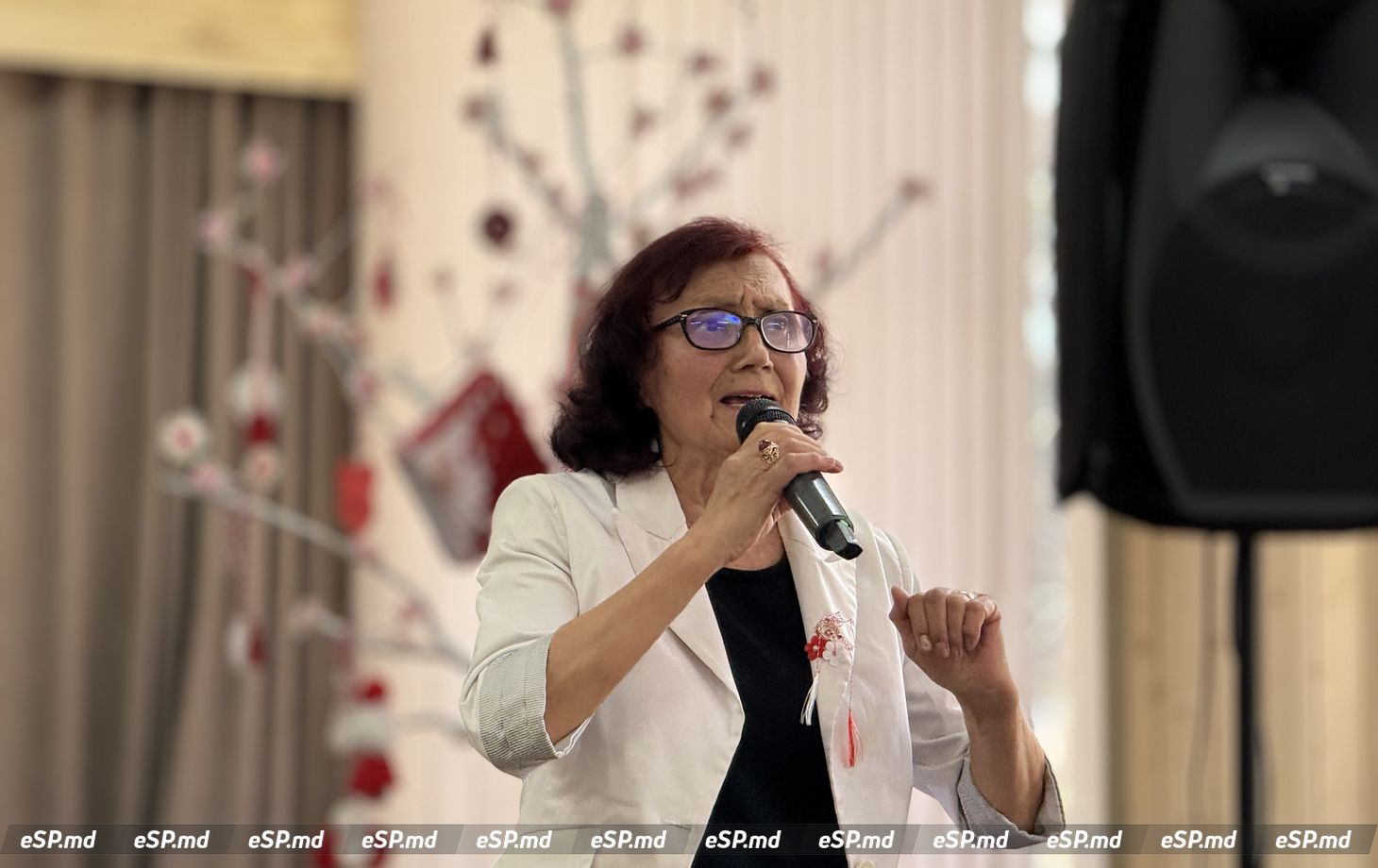 концерт творческого кружка Seniorii, истории кружка10