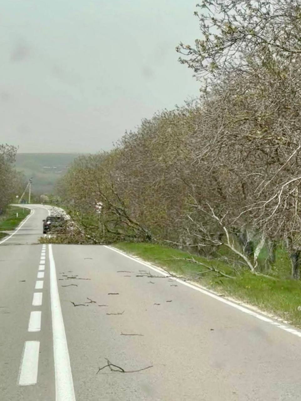 дороги после ветра 2
