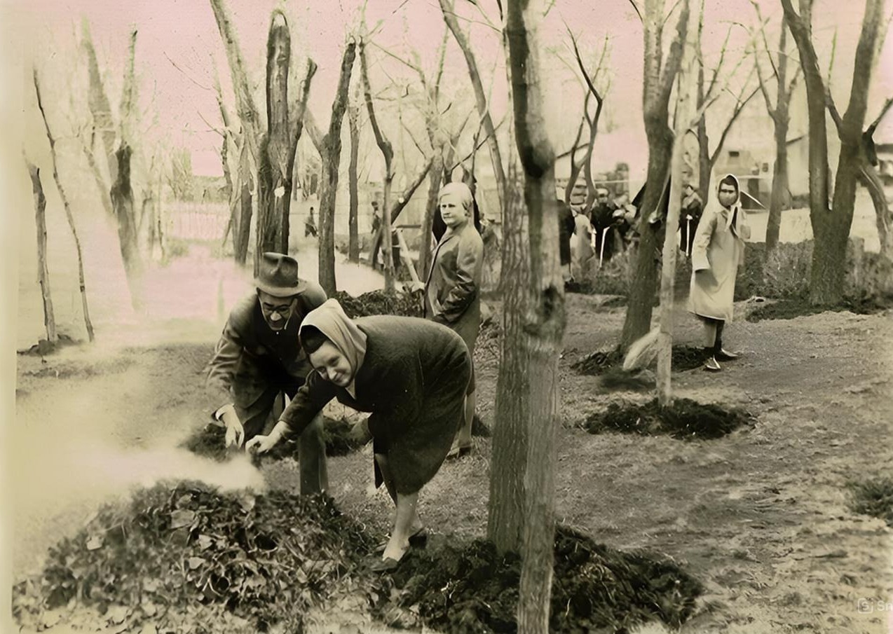 старые фотографии Бельц