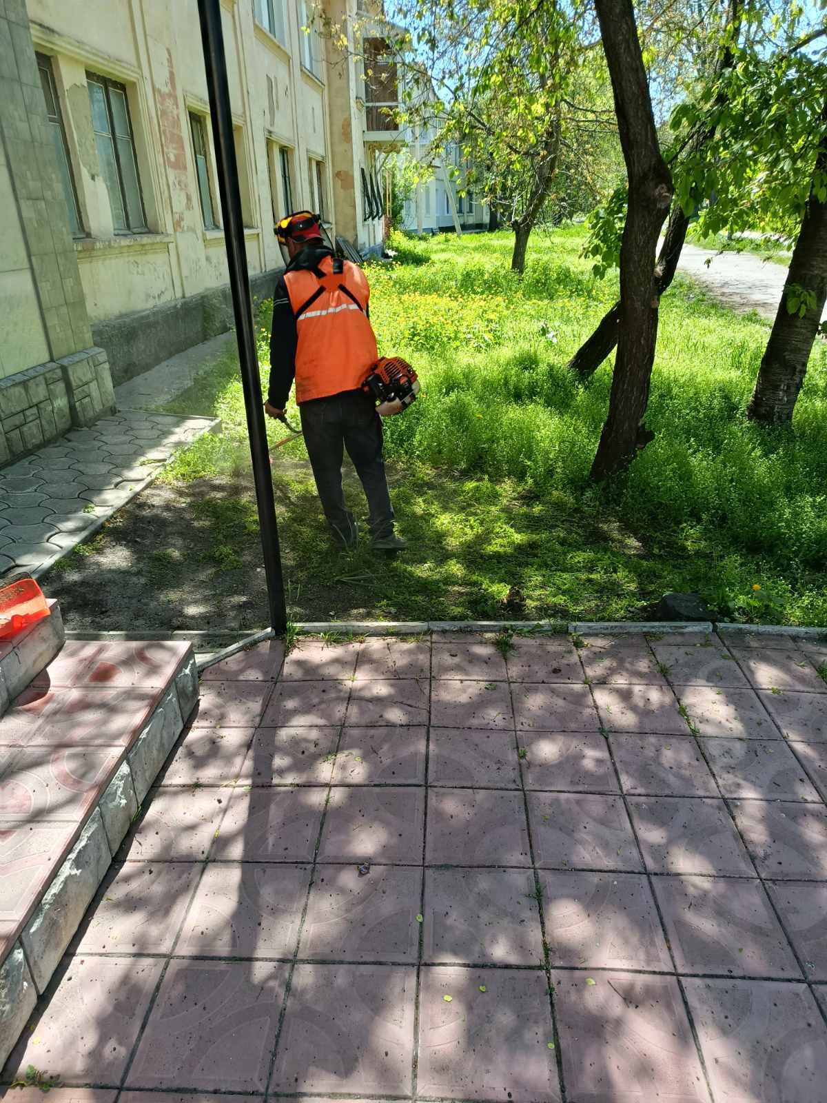В Бельцах косят траву во дворах