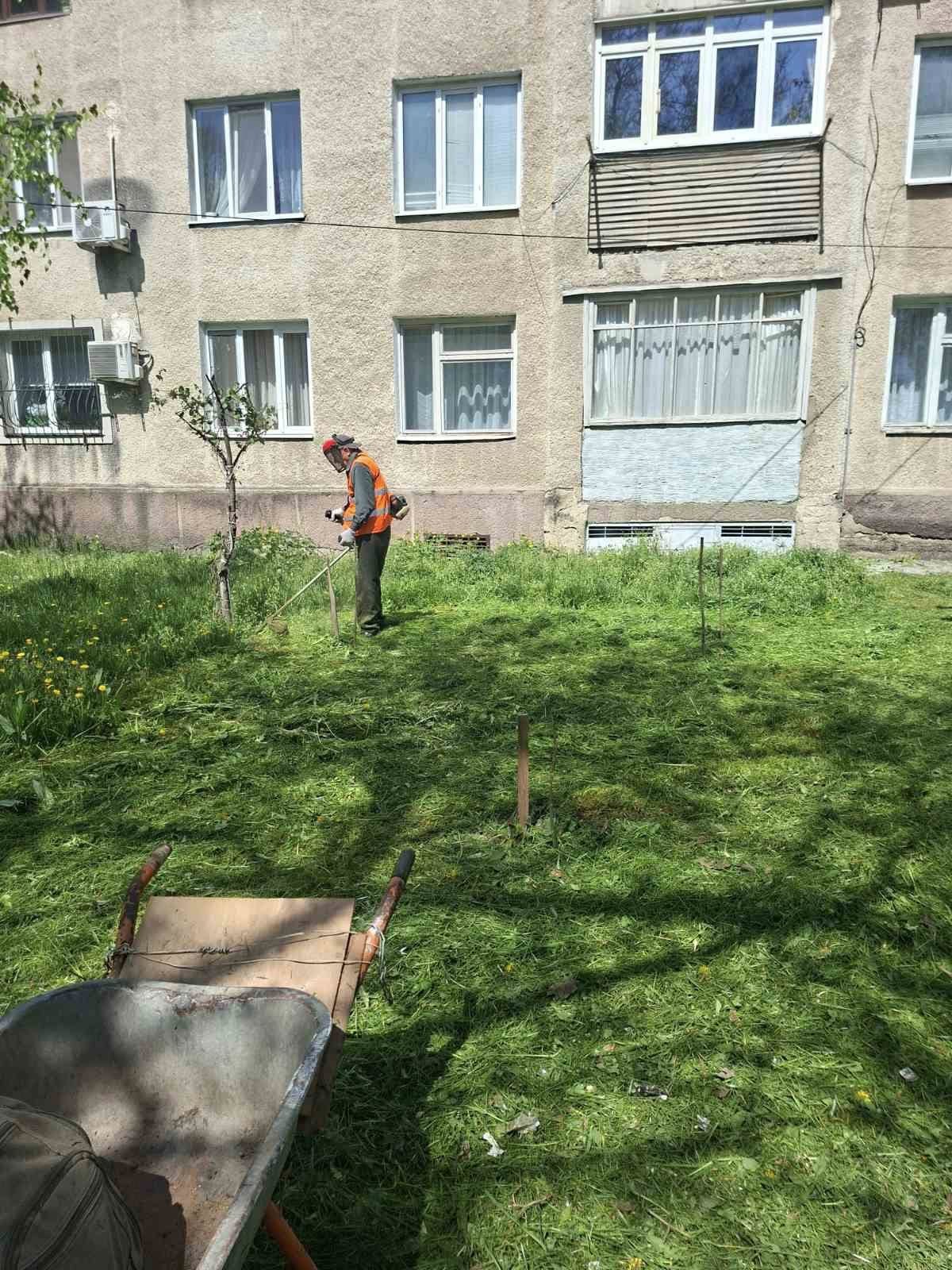 Покос травы в Бельцах