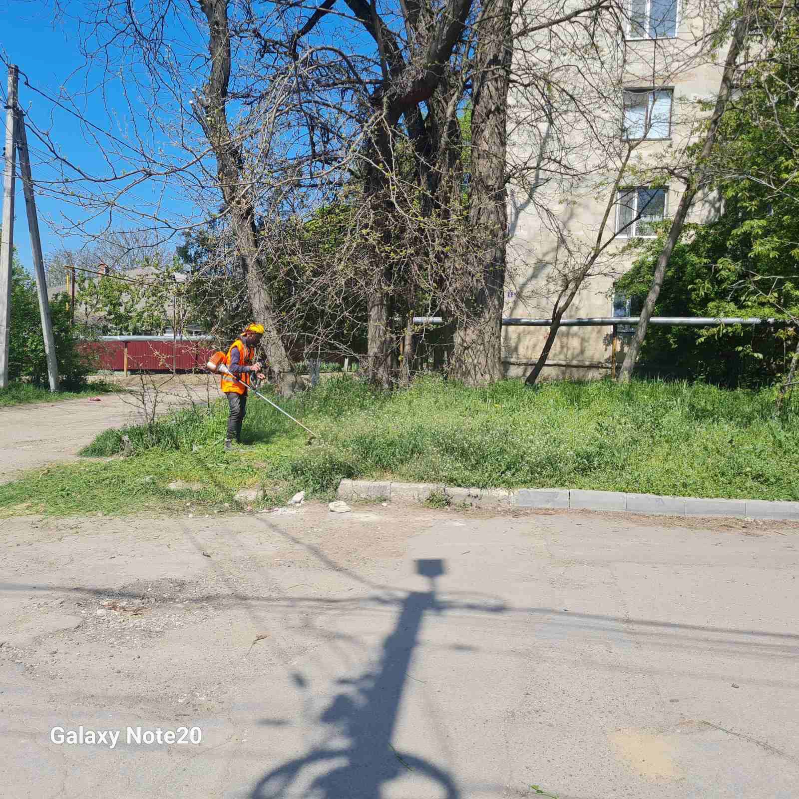 Покос травы в Бельцах - МП ЖКХ